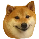 happyboy
