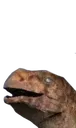 canunot