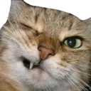 wink