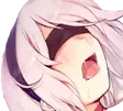 niergasm
