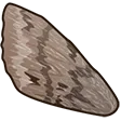 xqcMoth1