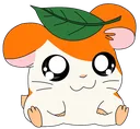 Hamtaro Hamtaro
