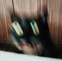 AAAAA AAAAA