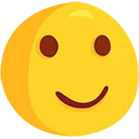 sarcastic_smile