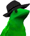 fedoraboi