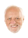 hide_the_pain