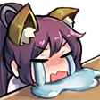 sureHCRY sureHCRY