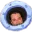 OpieOPLookingOutHisMemePortal
