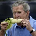 bushelofcorn
