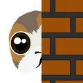 porgpeek porgpeek