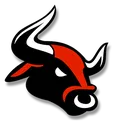 Bull1