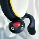 upsidedownnoot upsidedownnoot