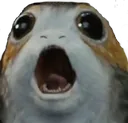 swporg swporg