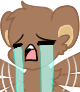 1Crying Discord emoji