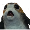 POMG POMG