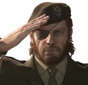 SnakeSalute