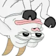casLife2