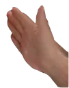 nut