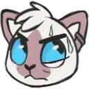 CatAnnoyed