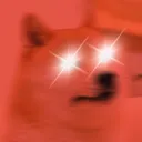 hyperdogeflare