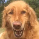 hahahyouresofkingfunnylmao