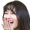 SiKek