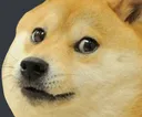 doge