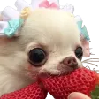 StrawberryBOYE