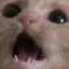 ImminentDoom