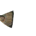 torsk3