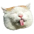 lirikMEOW