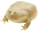 ThursdayMyDudes ThursdayMyDudes
