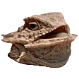 hehehe