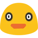 bleb