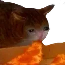 sadness