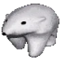 polb polb