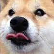 pupperMlm