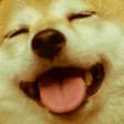 pupperSmile