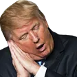 PresidentSleeper