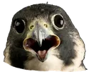 bPFScream