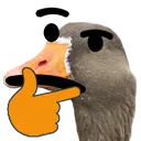 thinkGoose