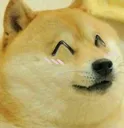 dogeuwu