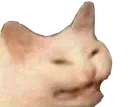 kat