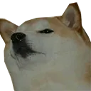 NaniBoye NaniBoye