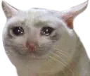 sad