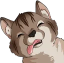 chrisisDerpp