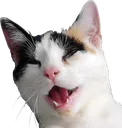 emote_chat_2