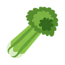 CELERY