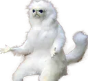 yTho