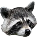 RaccAttack